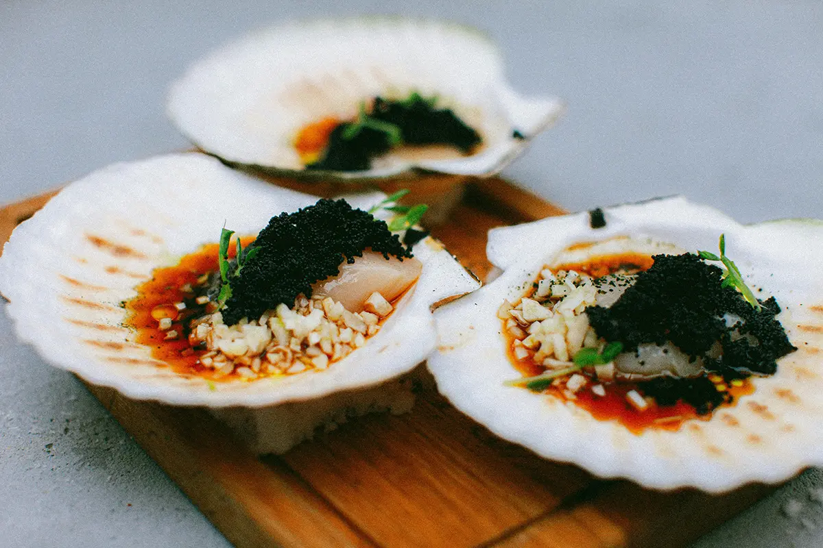Close up of Seafood on Seashells. Photo by ROMAN ODINTSOV.